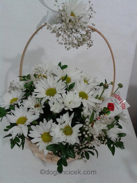 Askl Papatya sepeti