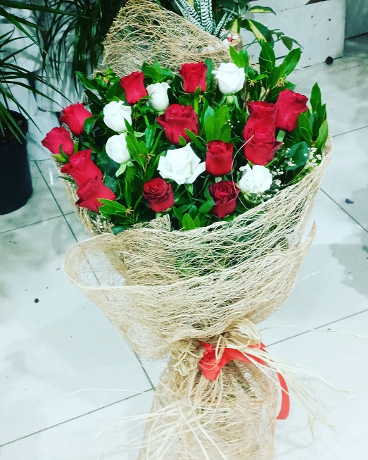 Krmz beyaz Gller