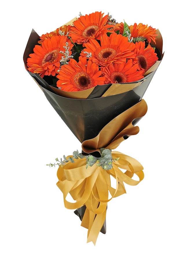 9 Tane Krmz Gerbera 