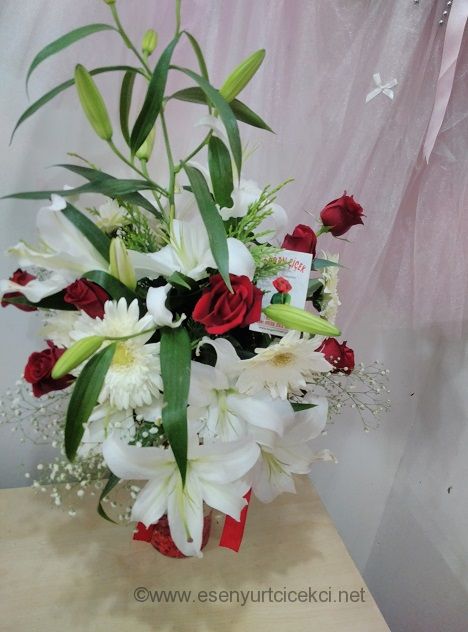 Arajman Tasarm