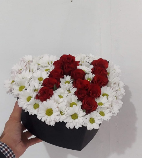 Kutuda N Harf