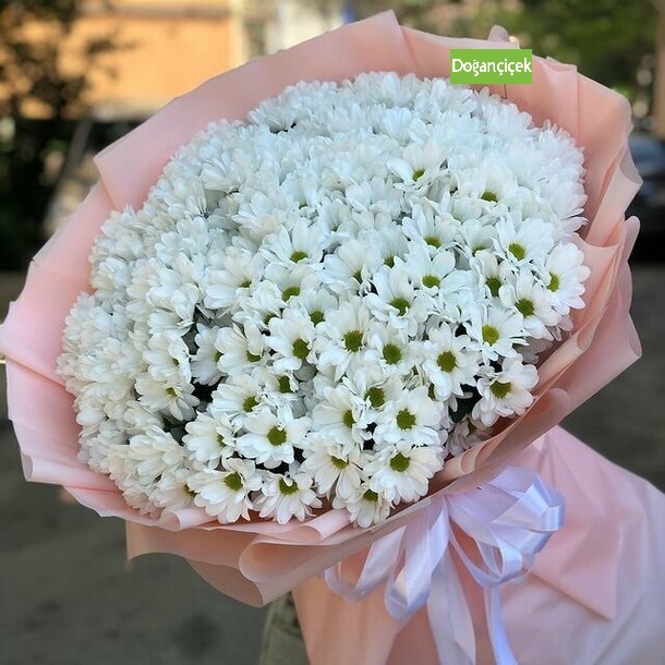 Natural Papatya Demet