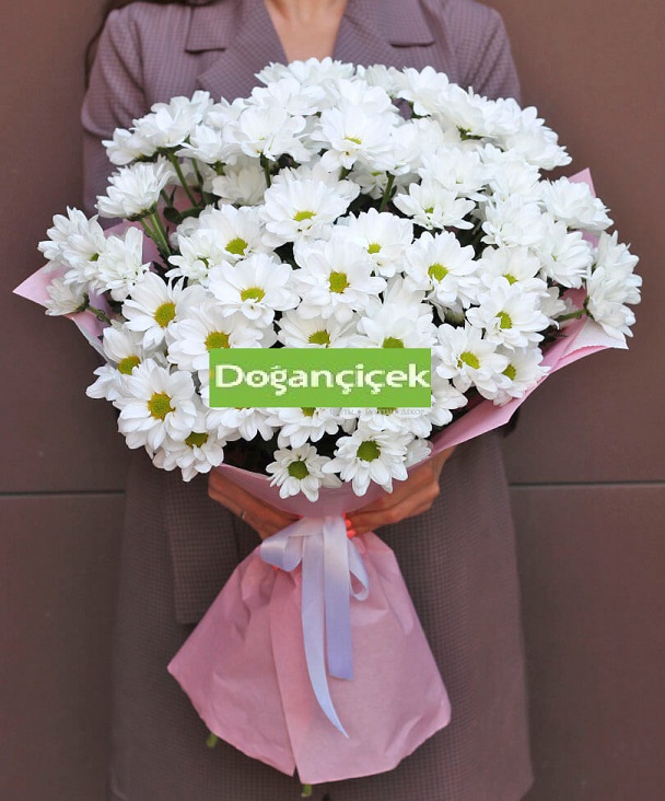 Ppatya Demet iek
