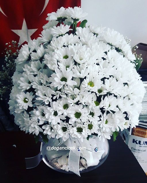 sevgilime-paptya