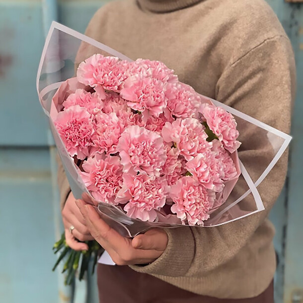 20,-pembe-karanfiller