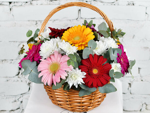 gerbera-sepeti