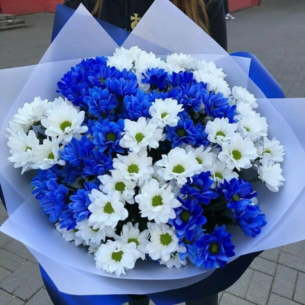 mavi-beyaz-papatyalar